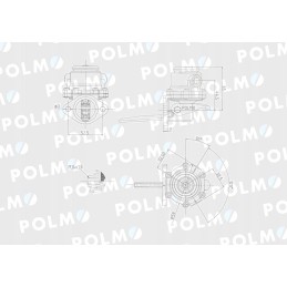 Feed pump 3055375r93 Polmo