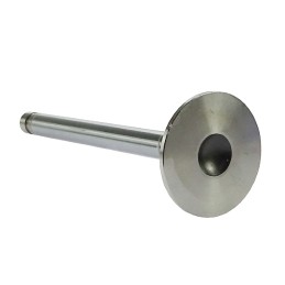 Exhaust valve t25 Andoria mot