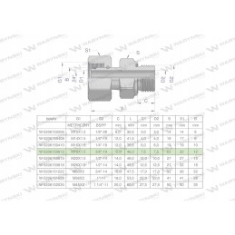 Hydraulic connection ab evge m18x1 5 12l x 3