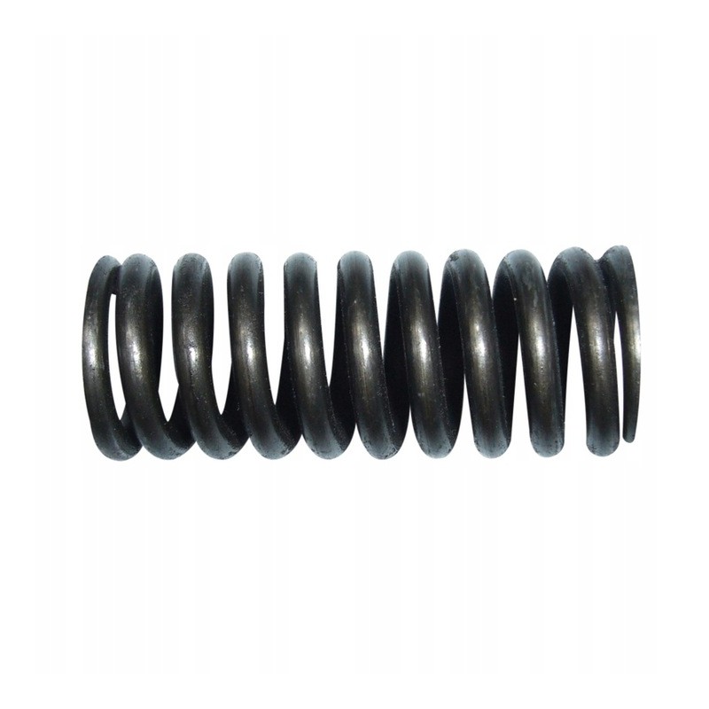 Agtech 65650010120 clutch pressure spring