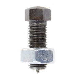 Clutch adjustment screw, complete 80021046