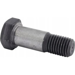 Rear reduction bolt M16x48 fitted c 360 269000