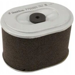 Donaldson air filter p786889