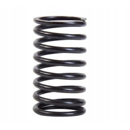 Internal valve spring c 385 89005502
