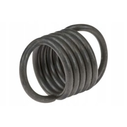 7738163n spring fits Belarus