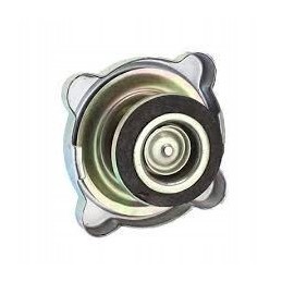 Radiator cap ursus c 330 84613912