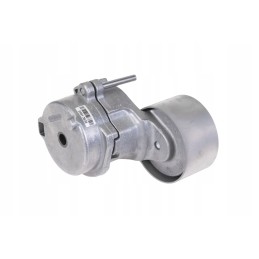 F934201040270 tensioner roller