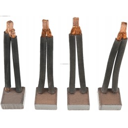Starter brushes as pl SB9006