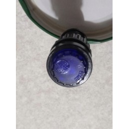 Blue indicator light zem ursus mf original prl