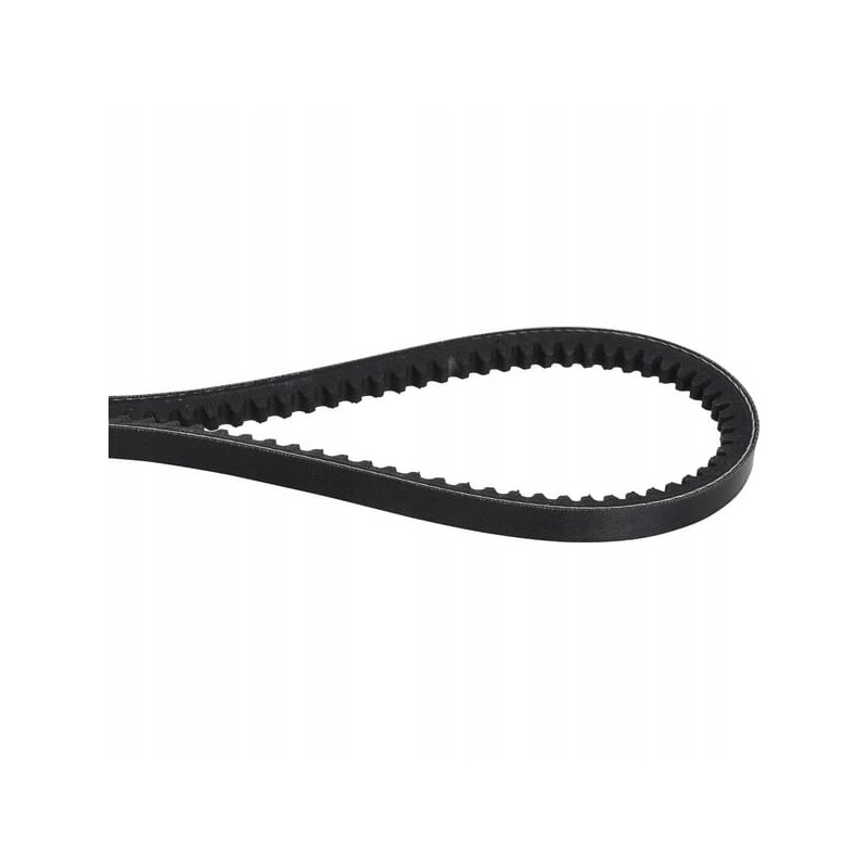 Toothed V-belt AVX 10 1150 mm