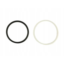 Lift piston seal kit 1665684m91