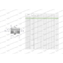 Hydraulic connection bb xge m12x1 5 06l x 1 4