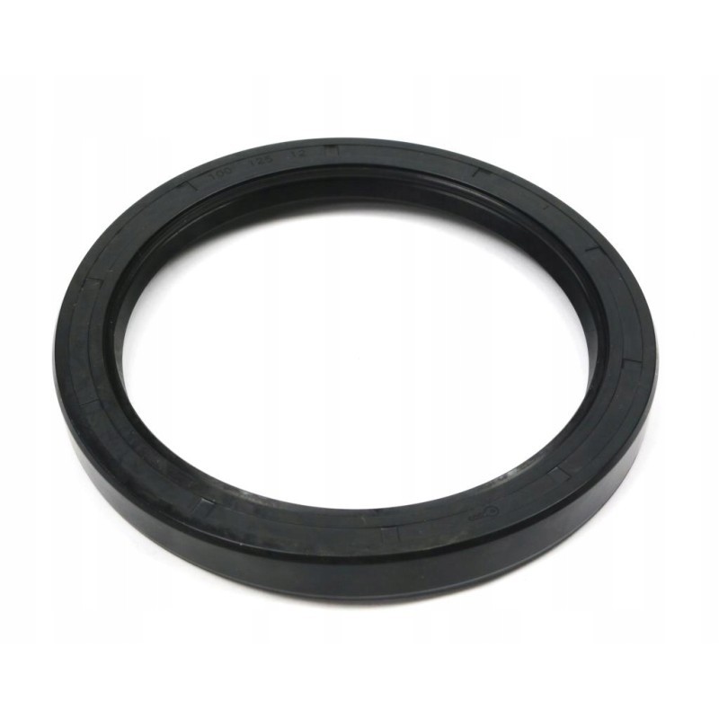 Oil seal sealing ring 100x125x12 2 layers