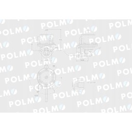 Feed pump 3637309m91 Polmo