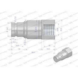 Hydraulic quick coupling, dry-cut plug