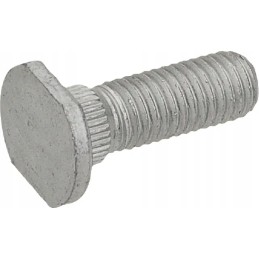 Screw m10x30 mm