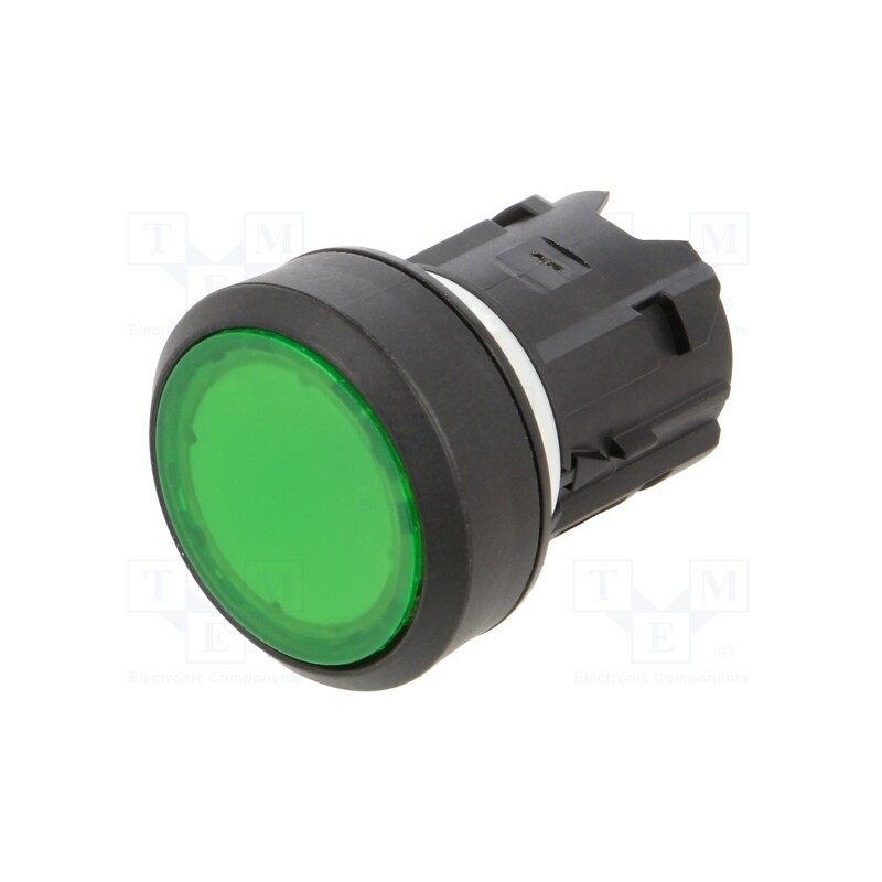 1 pcs x EAO - 45-2231.11H0.000 - Switch: push-button, 22mm, Stabl.pos: 1, green, IP66,IP67,IP69K