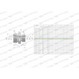Metric bb 22 18 hydraulic reducing connector