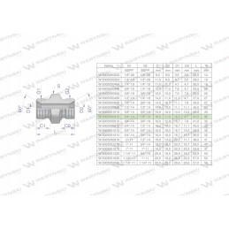 Inch bb 1 4 hydraulic reducing connector
