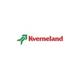 Left reversible share chisel Kverneland