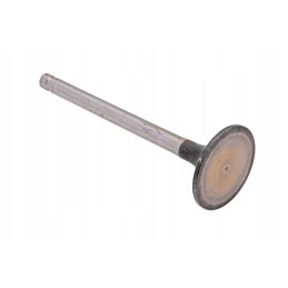 4l22bz 03005 intake valve