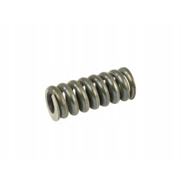 Injector spring c 385 93009332