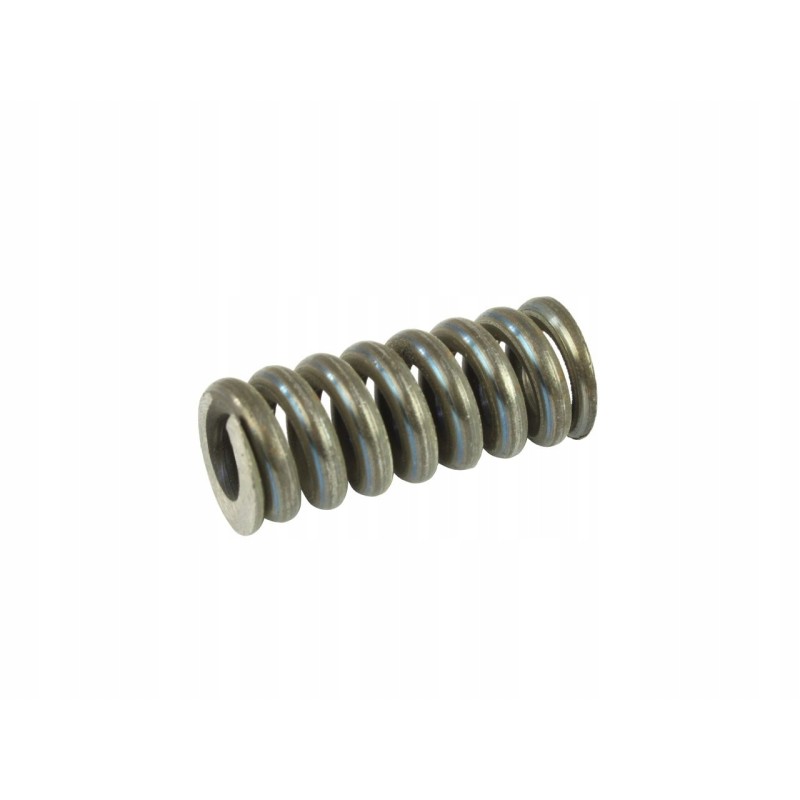 Injector spring c 385 93009332
