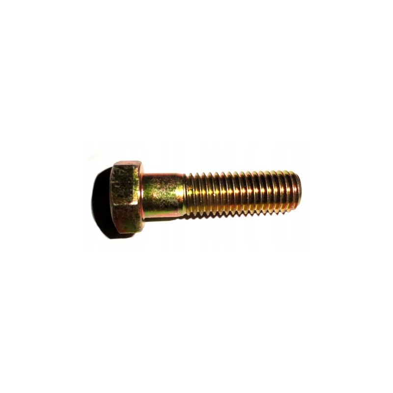 Weight screw 5 8x2 1 4