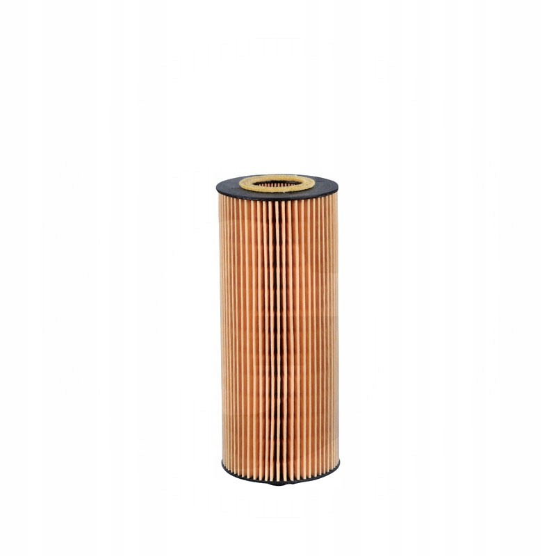 Deutz Fahr Fleetguard Oil Filter 2931095