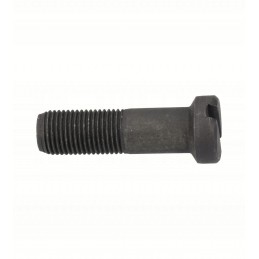 Massey Ferguson screw 825776m1