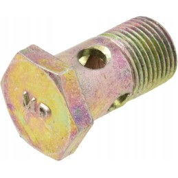 Hydraulic pipe connector bolt