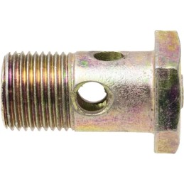 Hydraulic pipe connector bolt