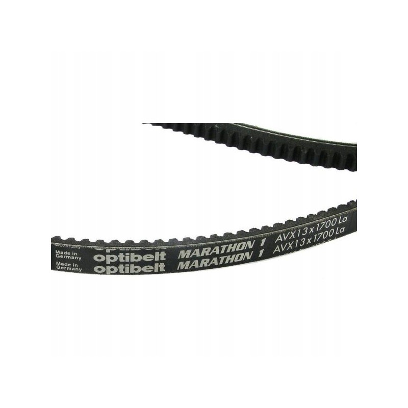 AVX 13 toothed V-belt 1700 mm optibelt
