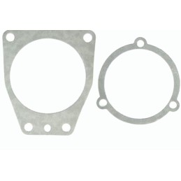 Injection pump gasket set mtz belarus