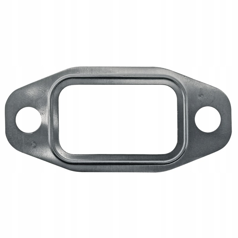 Intake and exhaust rim gasket f184230090071