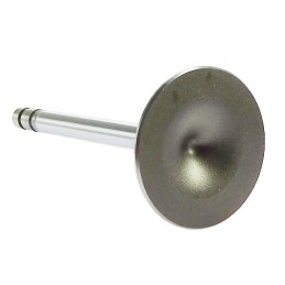 Suction valve t25 Andoria mot