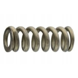 Gearbox fend spring 012100090080