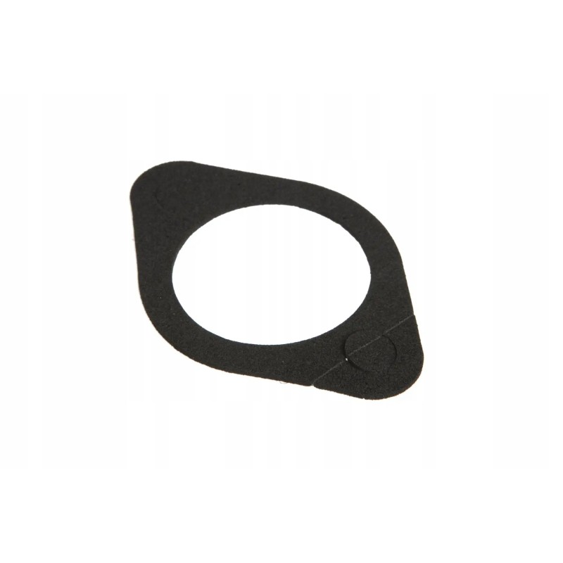 7700073462 main brake cylinder seal