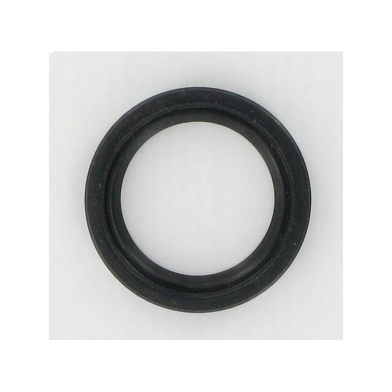Shaft seal ring 7210338