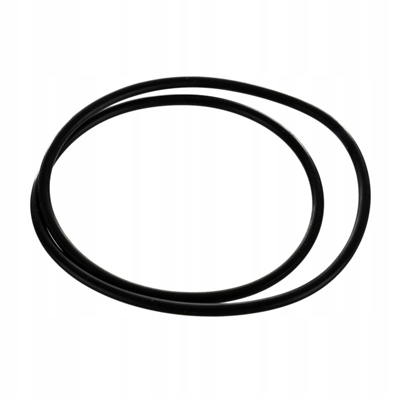 Massey Ferguson hub gasket 394881x1