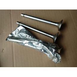 Exhaust valve for c 360 50505060 pl