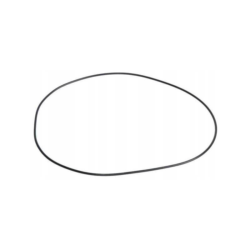 Oring pump seal 14467380 case new holland