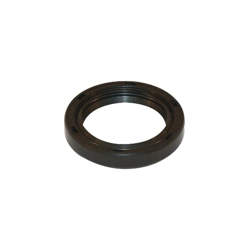 Briggs stratto shaft seal