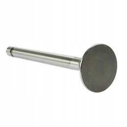 C 360 exhaust valve c 360 andoria mot packed p