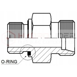 Distributor connections 6s p40 22 18 hydrolider