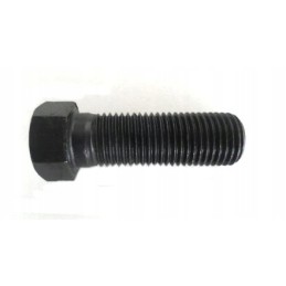 Flywheel bolt t 25 m14