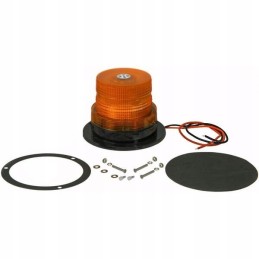 Rooster LED flash lamp 10 110v, screw-on