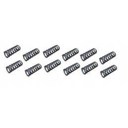 Clutch pressure spring 12 pieces T25 Wladimirec