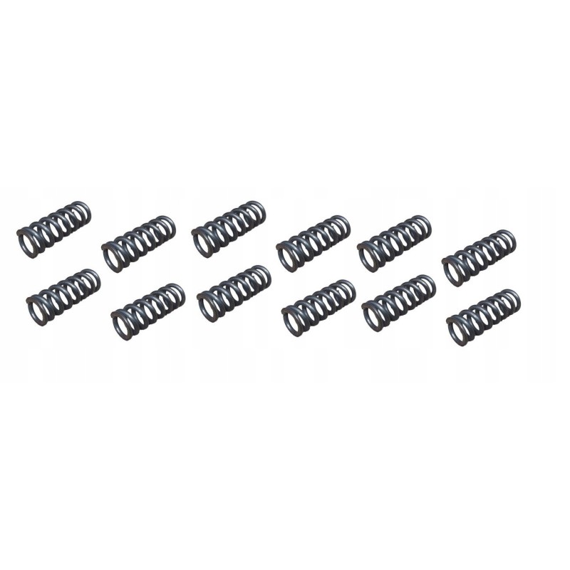 Clutch pressure spring 12 pieces T25 Wladimirec