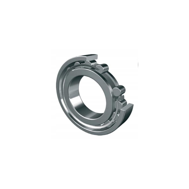 Bearing nj 204 zvl
